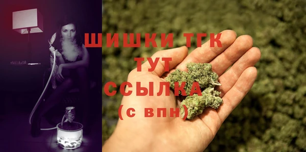 гидра Киренск