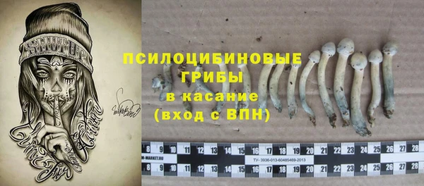 спайс Алексин